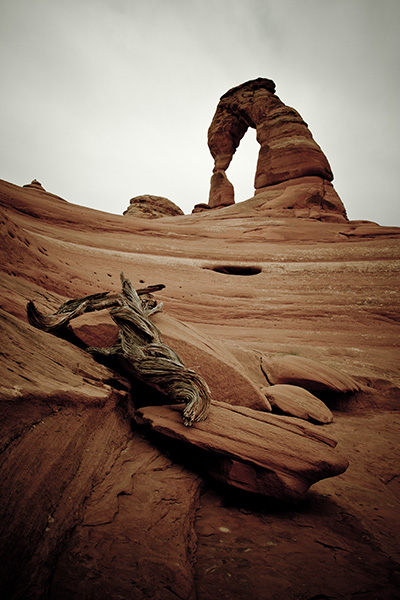 image15.jpg