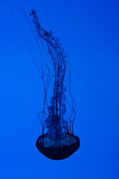 image10.jpg